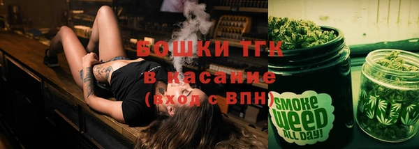 хмурый Аркадак