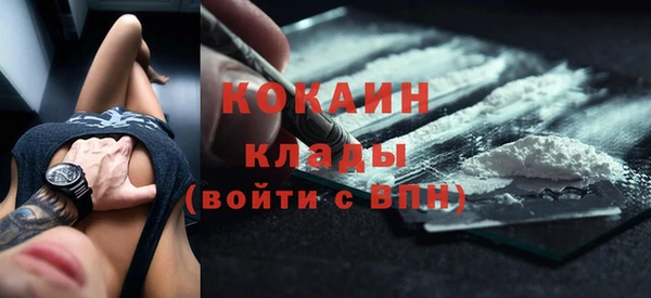 хмурый Аркадак