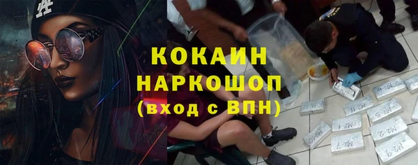 хмурый Аркадак