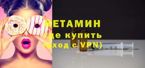 хмурый Аркадак