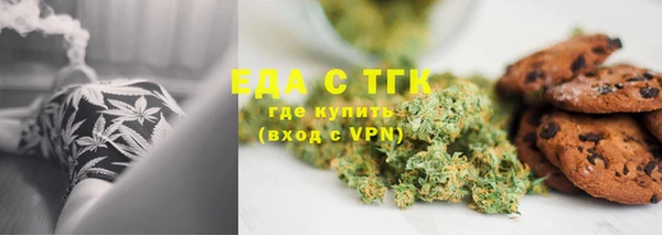 хмурый Аркадак