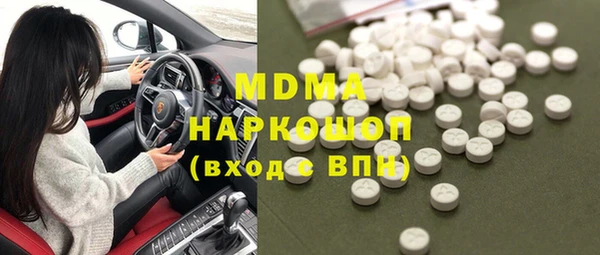 хмурый Аркадак