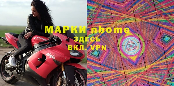 хмурый Аркадак